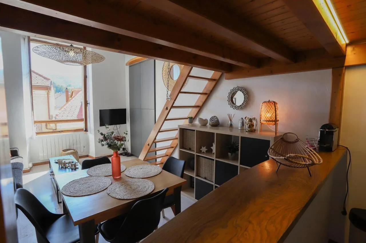 Royalement bien ! Appartement Annecy Frankrijk